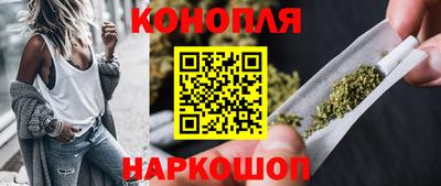 сатива Камышлов