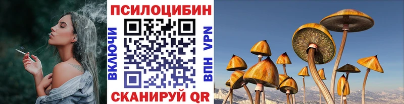 где найти   Луга  Псилоцибиновые грибы прущие грибы 