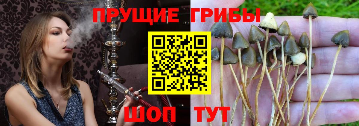 Луга  Псилоцибиновые грибы мицелий  Псилоцибиновые грибы мухоморы  закладки  Вход с VPN 